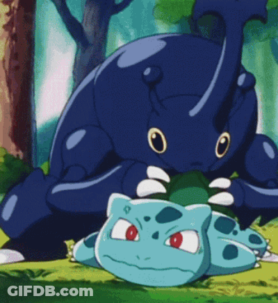 Cartoon Rhinoceros On Turtle GIF