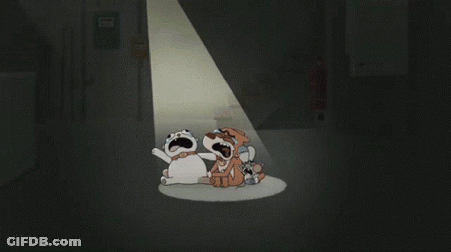 Cartoon Rocko Spotlight GIF