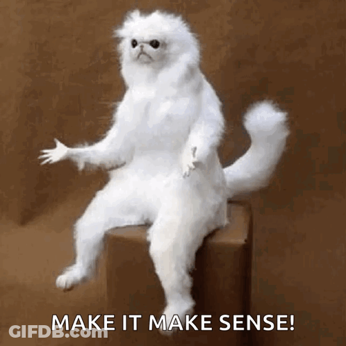 Cartoon Saying By All Accounts It Doesn't Make Sense GIF
