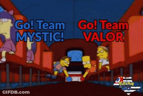 Cartoon Saying Go Team Mystic And Go Team Valor GIF