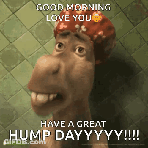Cartoon Saying Good Morning Love You Have A Great Hump Day GIF