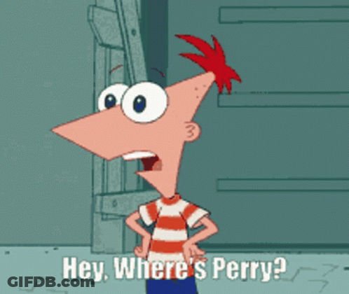 Cartoon Saying Hey Where's Perry GIF