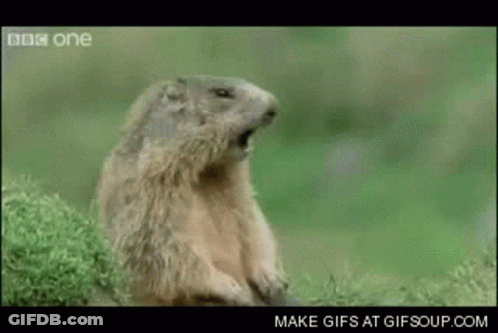 Cartoon Saying I'm Going To Figure It Out GIF