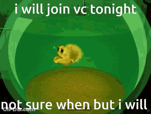Cartoon Saying I Will Join VC Tonight GIF