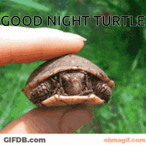 Cartoon Saying Im On It In Front Of Futurama Logo GIF