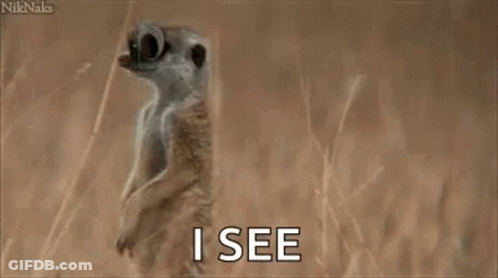 Cartoon Saying Ohhh I See GIF