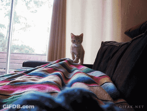 Cartoon Saying What Do You Need Old Buddy Old Pal Old Chum Of Mine GIF