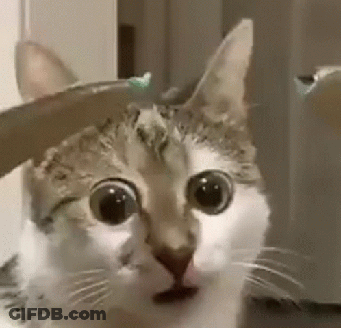 Cartoon Says You Will Just Have To Wait And See GIF