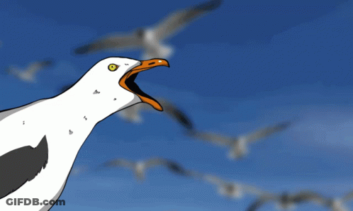 Cartoon Seagull Saying Meeeee Eeeeee Eeeeee Eeeppp GIF