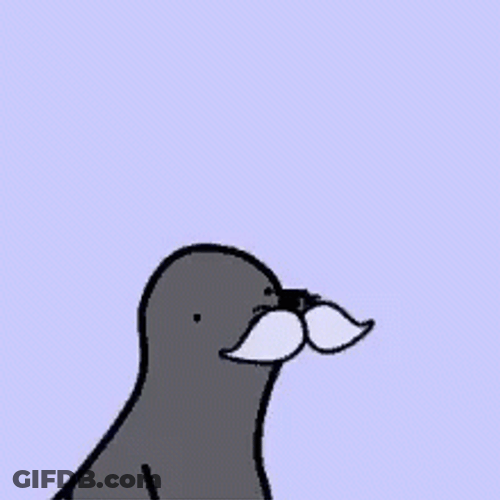 Cartoon Seal Diabeetus Trauma GIF