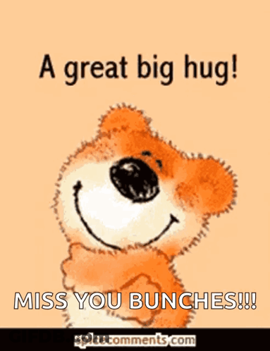 Cartoon Seal Miss You GIF
