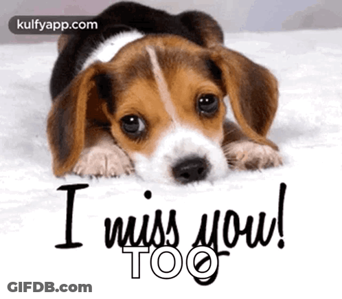 Cartoon Seal Saying Miss You Jeanne Two Hearts GIF