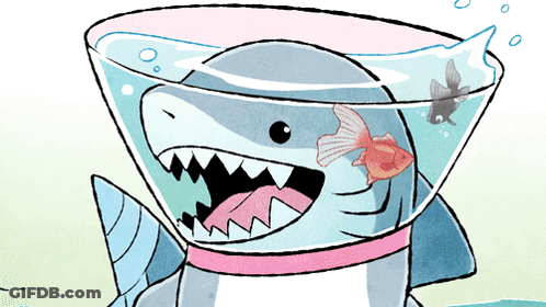 Cartoon Shark With Cone And Goldfish GIF