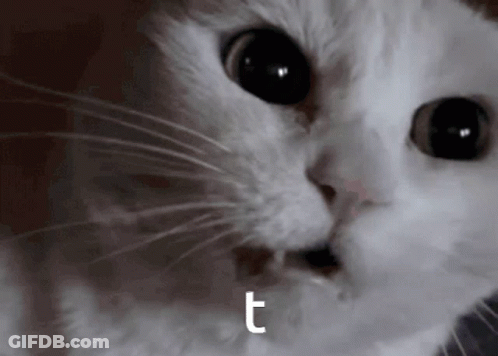 Cartoon Sheep Playing Yellow Piano With Rainbow Keys GIF