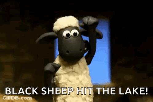 Cartoon Sheep Saying Black Sheep Hit The Lake GIF