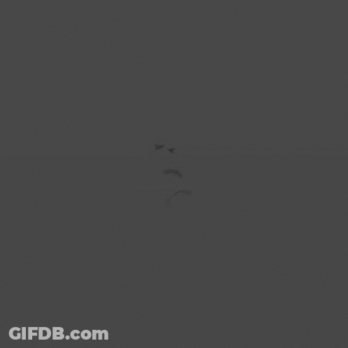 Cartoon Sign Saying We Will GIF