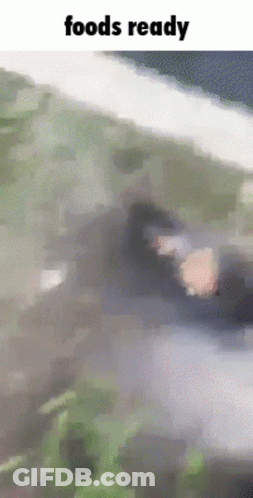 Cartoon Sitting On Inflatable Chair Saying Oh Yea GIF