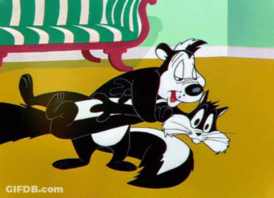 Cartoon Skunk And Cat Fighting GIF