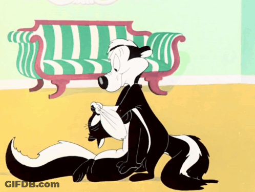 Cartoon Skunk Holding Cat In Front Of Striped Couch GIF