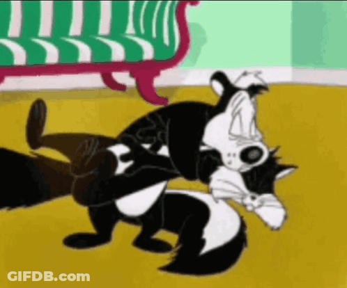 Cartoon Skunk Holding Cat GIF