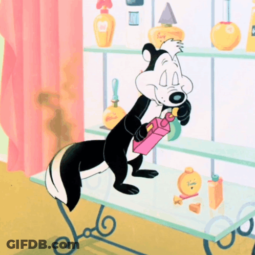 Cartoon Skunk Holding Pink Box GIF