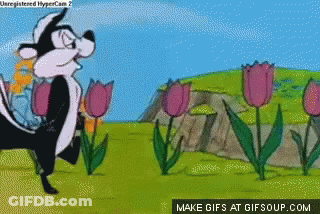 Cartoon Skunk In Field Of Flowers GIF