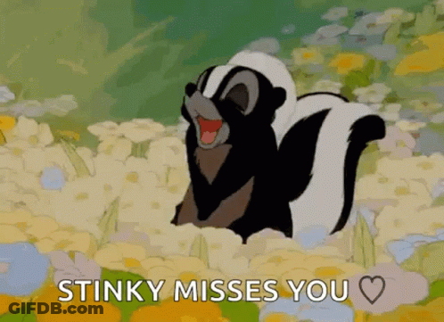 Cartoon Skunk In Flowers Saying Stinky Misses You GIF