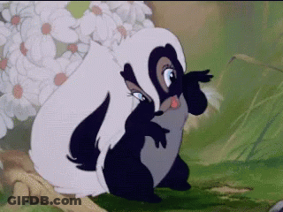 Cartoon Skunk In Front Of Flowers GIF