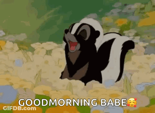 Cartoon Skunk Saying Good Morning Babe GIF