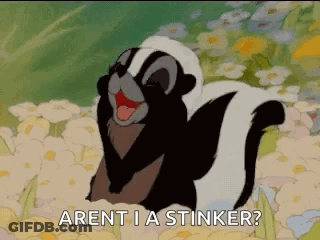 Cartoon Skunk Says Aren't I A Stinker GIF