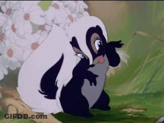 Cartoon Skunk Sitting On Tree Branch GIF