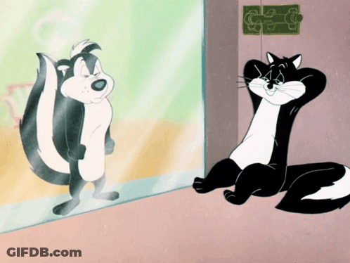 Cartoon Skunk Standing In Front Of Mirror GIF