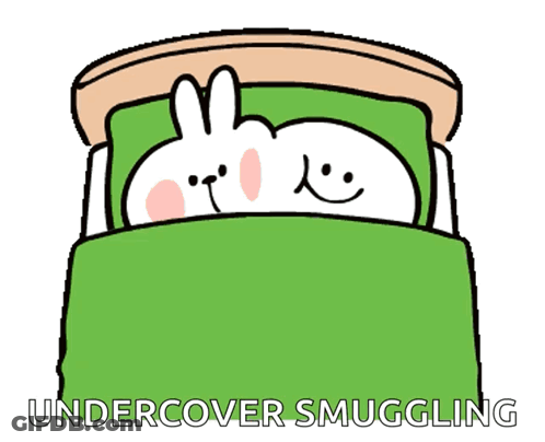 Cartoon Sleeping In Bed With Green Blanket Undercover Smuggling GIF
