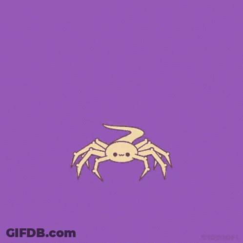 Cartoon Spider On Purple Background GIF