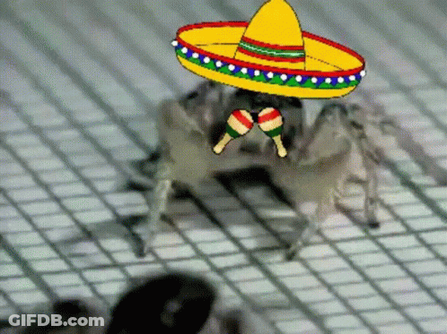 Cartoon Spider Wearing Sombrero And Maracas GIF