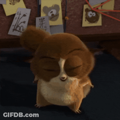 Cartoon Squirrel In Front Of Animal Drawings GIF