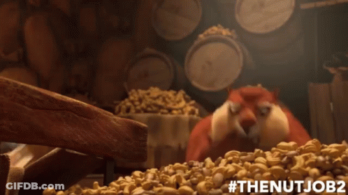 Cartoon Squirrel Standing In Pile Of Nuts #Thenutjob2 GIF