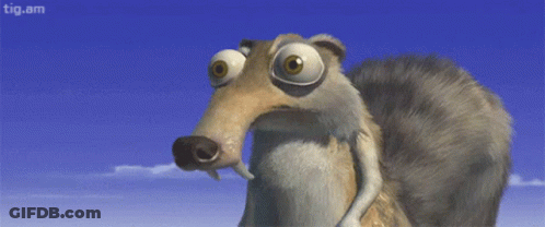 Cartoon Squirrel With Big Eyes GIF