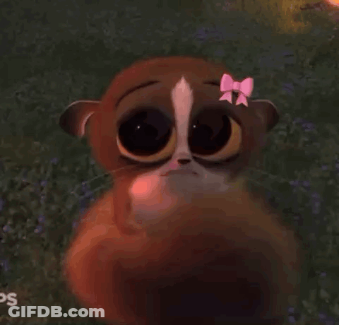Cartoon Squirrel With Pink Bow In Flower Field GIF