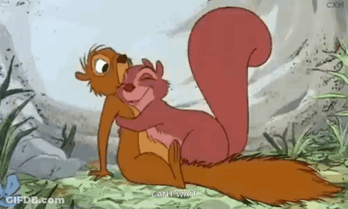 Cartoon Squirrels Hugging GIF