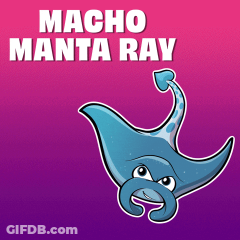 Cartoon Stingray Saying Macho Manta Ray GIF