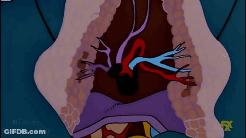 Cartoon Stomach With FX Written GIF