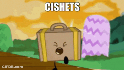 Cartoon Suitcase With Face And Words Cishets GIF