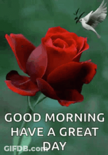 Cartoon Sunflower Saying Good Morning GIF