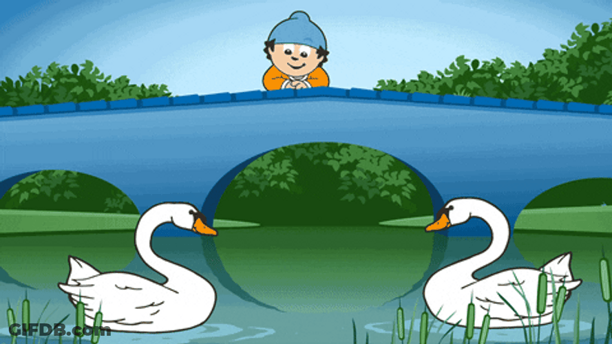 Cartoon Swan Heart GIF