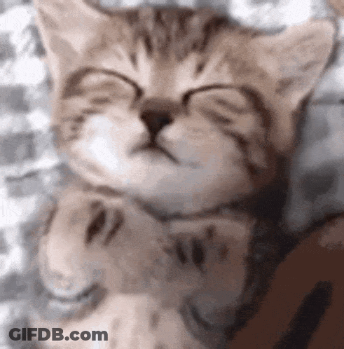 Cartoon Teddy Bear Drinking From Cup GIF
