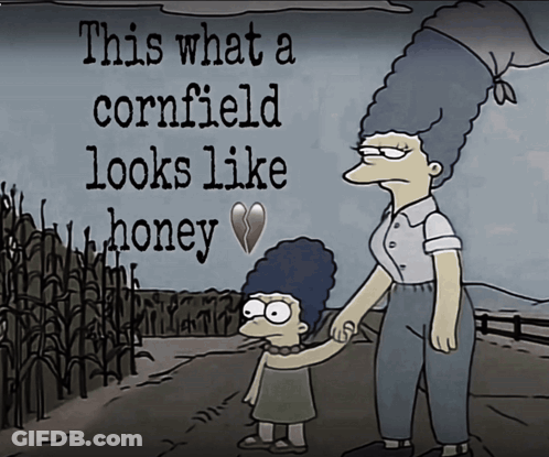 Cartoon This What Cornfield Looks Like Honey GIF