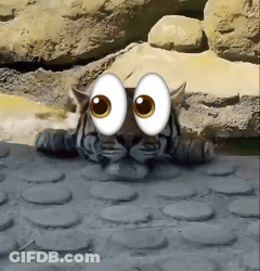 Cartoon Tiger Laying Down GIF