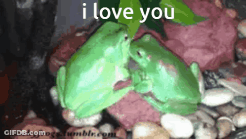 Cartoon Toad With Red And White Hat GIF