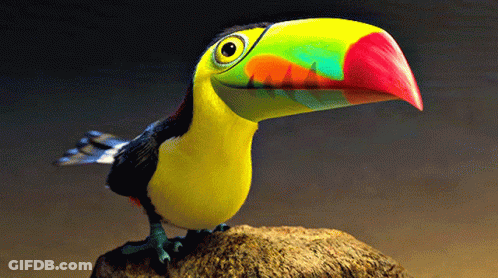 Cartoon Toucan With Colorful Beak On Rock GIF